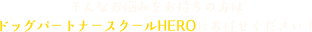 そんなお悩みをお持ちの方はドッグパートナースクールHEROにお任せください！