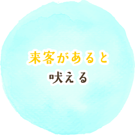 来客があると吠える