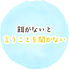 餌がないと言うことを聞かない